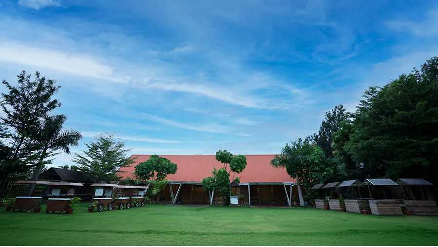 The Lawns